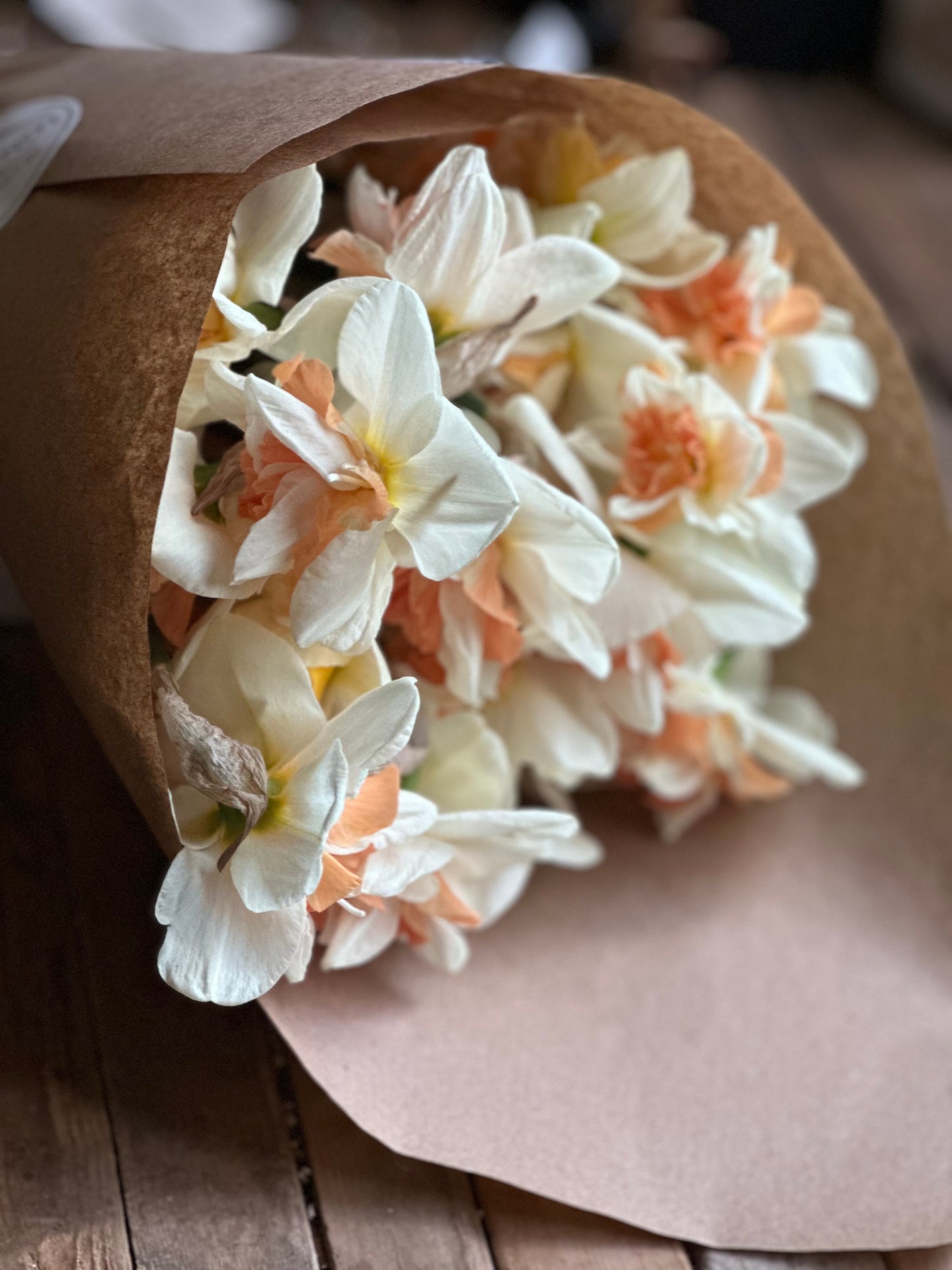 10 Double Daffodil bulbs- Delnashaugh