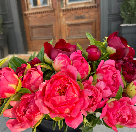 Peony Flower Club Subscription - June 2026