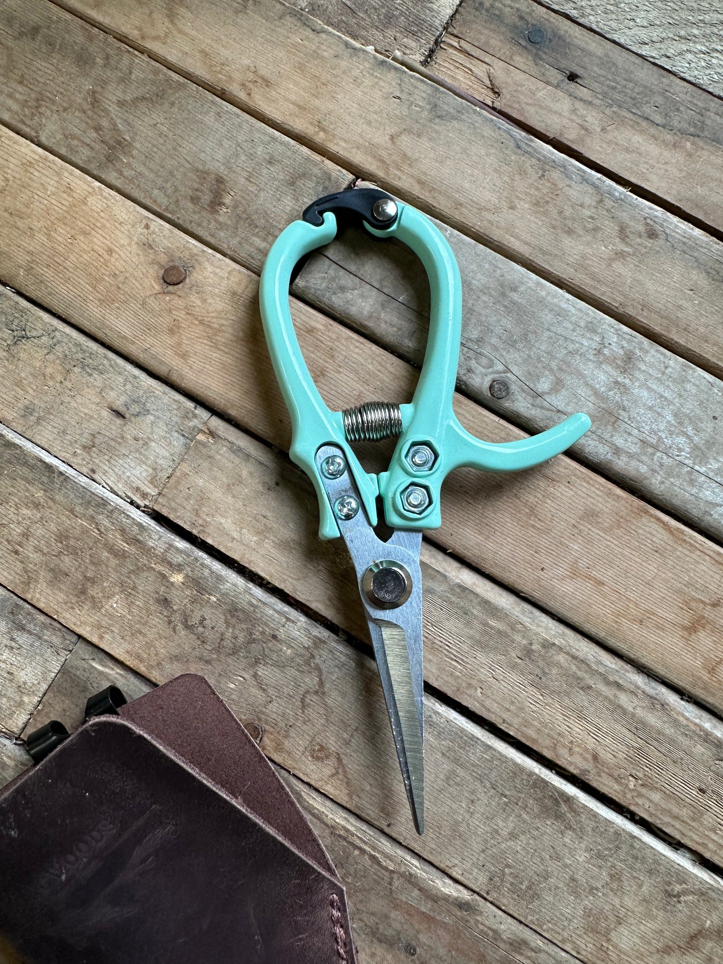 Floral snips