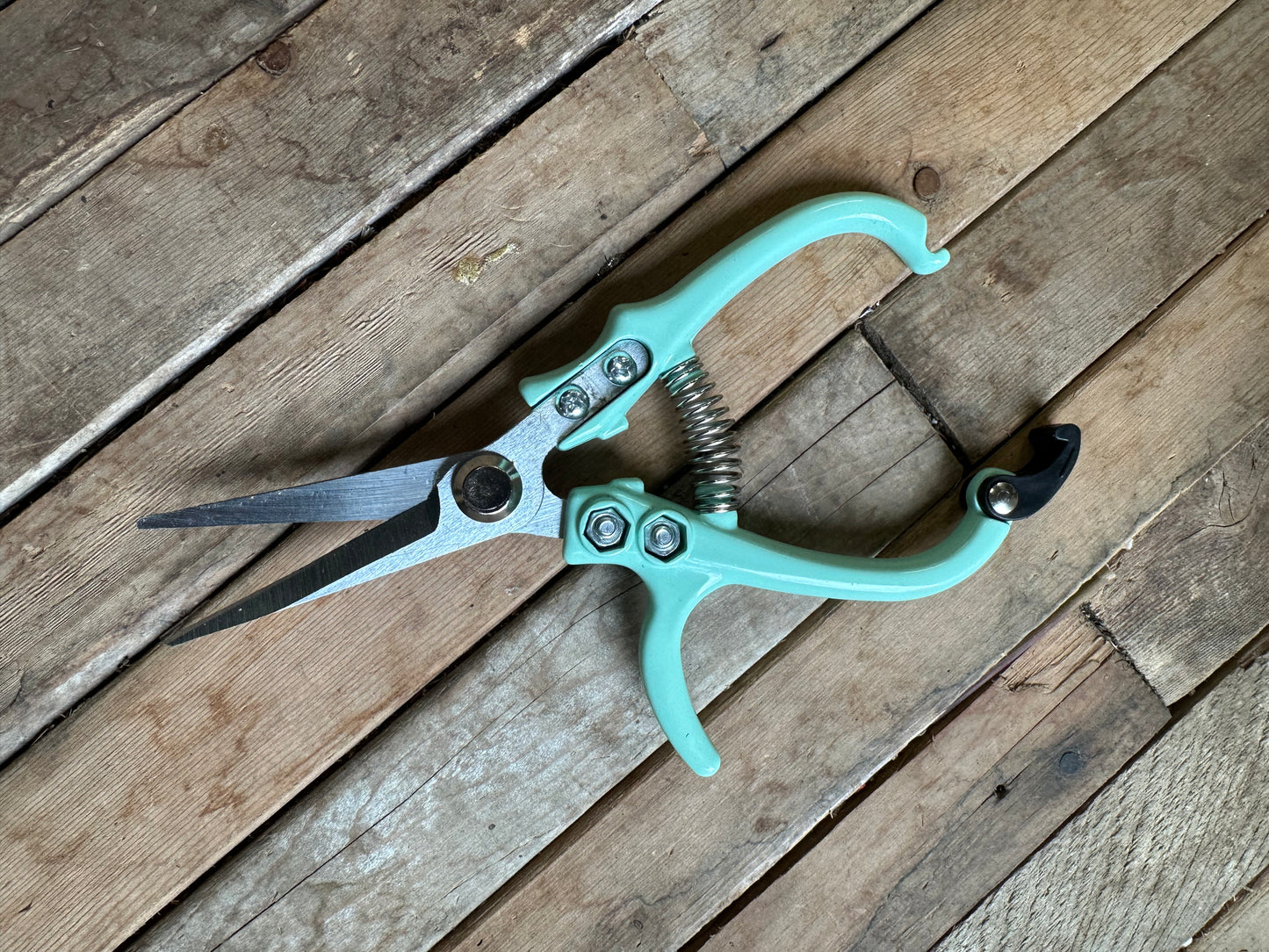 Floral snips