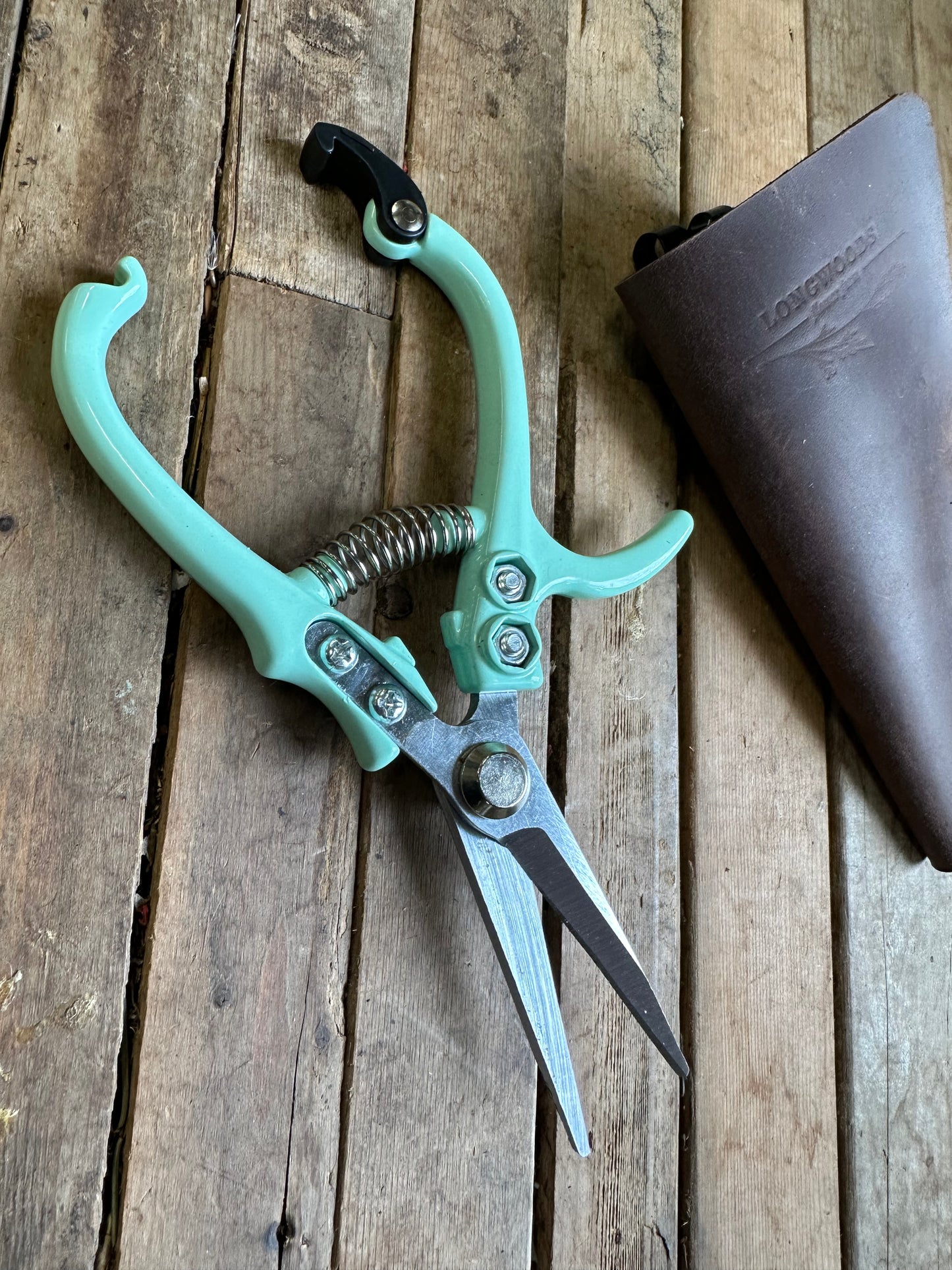 Floral snips