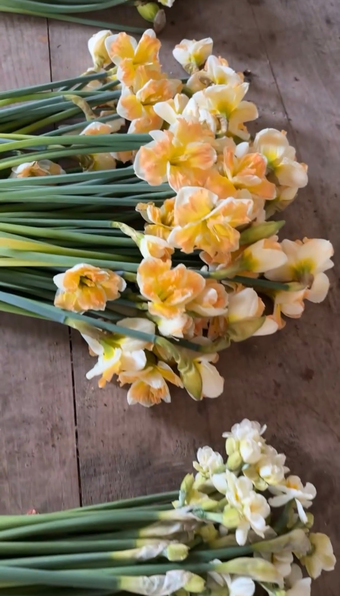 March Flower Subscription - Pick Up Near You!